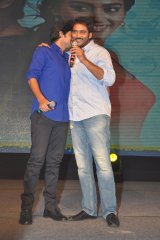 Dikkulu Choodaku Ramayya Movie Audio Launch